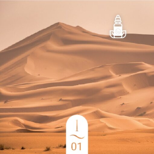 1.01 Santal Musqué