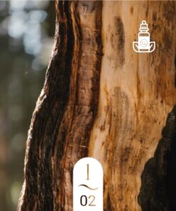 1.02 Écorce de Sequoia