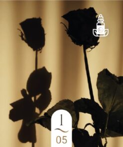 1.05 Bois de Rose