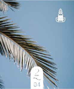 2.04 Belize