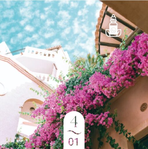 4.01 Rose de Nairobi