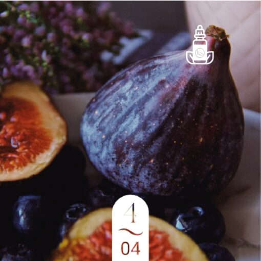 4.04 Fleur de Figue